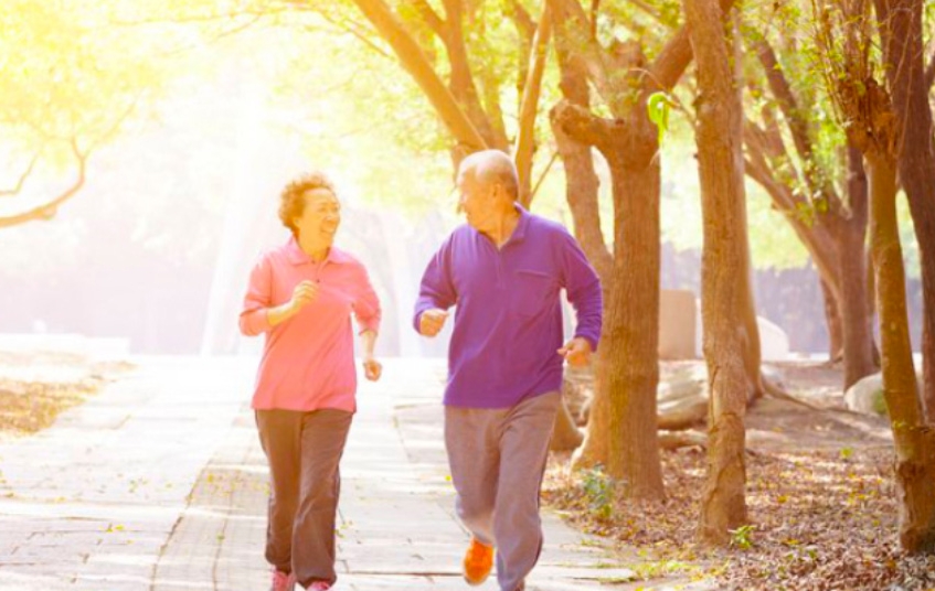 L’osteocalcina, un ormone prodotto dalle ossa potrebbe aumentare la capacità dei muscoli degli anziani e quindi a migliorare la salute generale.